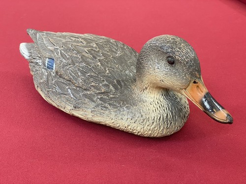 Canard animal made italie - canard,