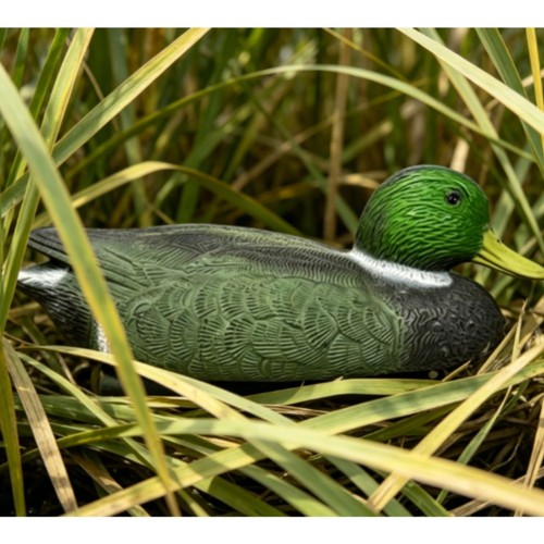 Leurre canard tête - leurre, verte
