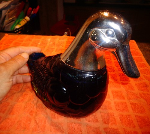 Superbe gros canard - canard, en